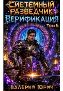 Системный разведчик. Верификация. Том 6