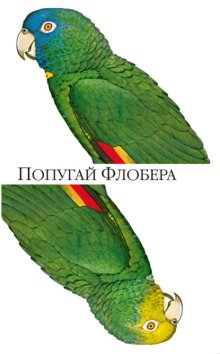 Попугай Флобера