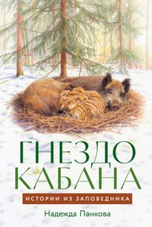 Гнездо кабана: Истории из заповедника